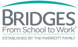 Bridges from School to Work