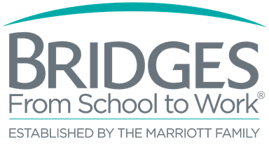 Bridges from School to Work